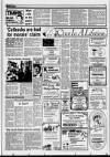 Ripon Gazette Friday 13 February 1987 Page 17