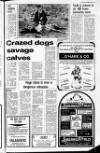 Ulster Star Friday 02 November 1979 Page 13