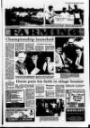 Ulster Star Friday 03 September 1993 Page 29