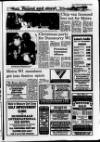 Ulster Star Friday 17 December 1993 Page 21