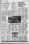 Ulster Star Friday 03 February 1995 Page 65