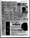 Blyth News Post Leader Thursday 06 April 1995 Page 29