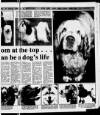 Sleaford Standard Thursday 05 February 1981 Page 19