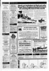 Scarborough Evening News Wednesday 15 January 1986 Page 13
