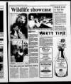 Scarborough Evening News Thursday 26 October 1995 Page 19