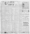Saturday Telegraph (Grimsby) Saturday 01 November 1902 Page 8