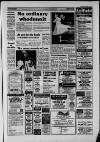 Surrey Mirror Friday 04 April 1986 Page 17