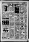 Surrey Mirror Friday 18 April 1986 Page 17