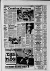 Surrey Mirror Friday 20 June 1986 Page 17