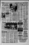 Surrey Mirror Friday 04 July 1986 Page 19