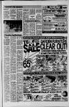 Surrey Mirror Friday 22 August 1986 Page 15