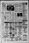 Surrey Mirror Friday 12 September 1986 Page 19