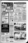 Banbridge Chronicle Thursday 29 May 1980 Page 25