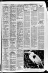 Banbridge Chronicle Thursday 15 January 1981 Page 25