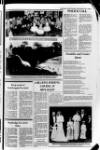 Banbridge Chronicle Thursday 12 November 1981 Page 31