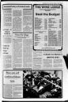 Banbridge Chronicle Thursday 04 March 1982 Page 13