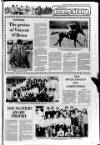 Banbridge Chronicle Thursday 10 June 1982 Page 41