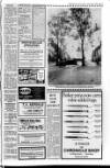 Banbridge Chronicle Thursday 12 January 1984 Page 19