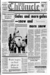 Banbridge Chronicle Thursday 19 January 1984 Page 1