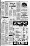 Banbridge Chronicle Thursday 19 January 1984 Page 11