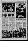 Banbridge Chronicle Thursday 15 February 1990 Page 33