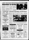 Banbridge Chronicle Thursday 04 February 1993 Page 17