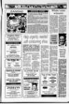Banbridge Chronicle Thursday 04 January 1996 Page 15