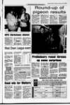 Banbridge Chronicle Thursday 04 January 1996 Page 29