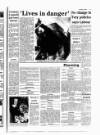 Kentish Gazette Friday 28 December 1990 Page 29