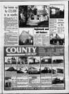 Maidstone Telegraph Friday 22 January 1988 Page 101