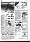 Maidstone Telegraph Friday 01 July 1988 Page 29