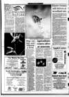 Kentish Express Thursday 04 June 1992 Page 60