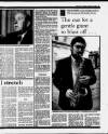 Liverpool Daily Post Thursday 10 January 1985 Page 17