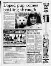 Liverpool Daily Post Tuesday 21 October 1986 Page 11