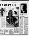 Liverpool Daily Post Tuesday 01 December 1992 Page 17