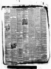Kent County Examiner and Ashford Chronicle Friday 20 January 1888 Page 3