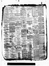 Kent County Examiner and Ashford Chronicle Friday 20 January 1888 Page 4