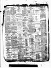 Kent County Examiner and Ashford Chronicle Friday 27 January 1888 Page 4