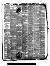Kent County Examiner and Ashford Chronicle Friday 10 February 1888 Page 3