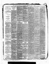 Kent County Examiner and Ashford Chronicle Friday 25 May 1888 Page 3