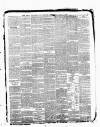 Kent County Examiner and Ashford Chronicle Friday 06 July 1888 Page 5