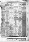 Kent County Standard Friday 17 November 1882 Page 4