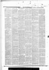 Tunbridge Wells Standard Friday 28 October 1881 Page 4