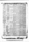 Tunbridge Wells Standard Friday 04 September 1885 Page 4