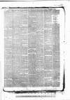 Tunbridge Wells Standard Friday 04 September 1885 Page 6