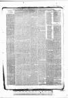 Tunbridge Wells Standard Friday 08 January 1886 Page 3