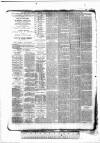Tunbridge Wells Standard Friday 08 January 1886 Page 4