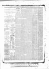 Tunbridge Wells Standard Friday 29 January 1886 Page 4