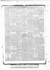 Tunbridge Wells Standard Friday 29 January 1886 Page 5