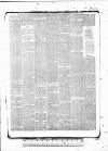 Tunbridge Wells Standard Friday 29 January 1886 Page 7